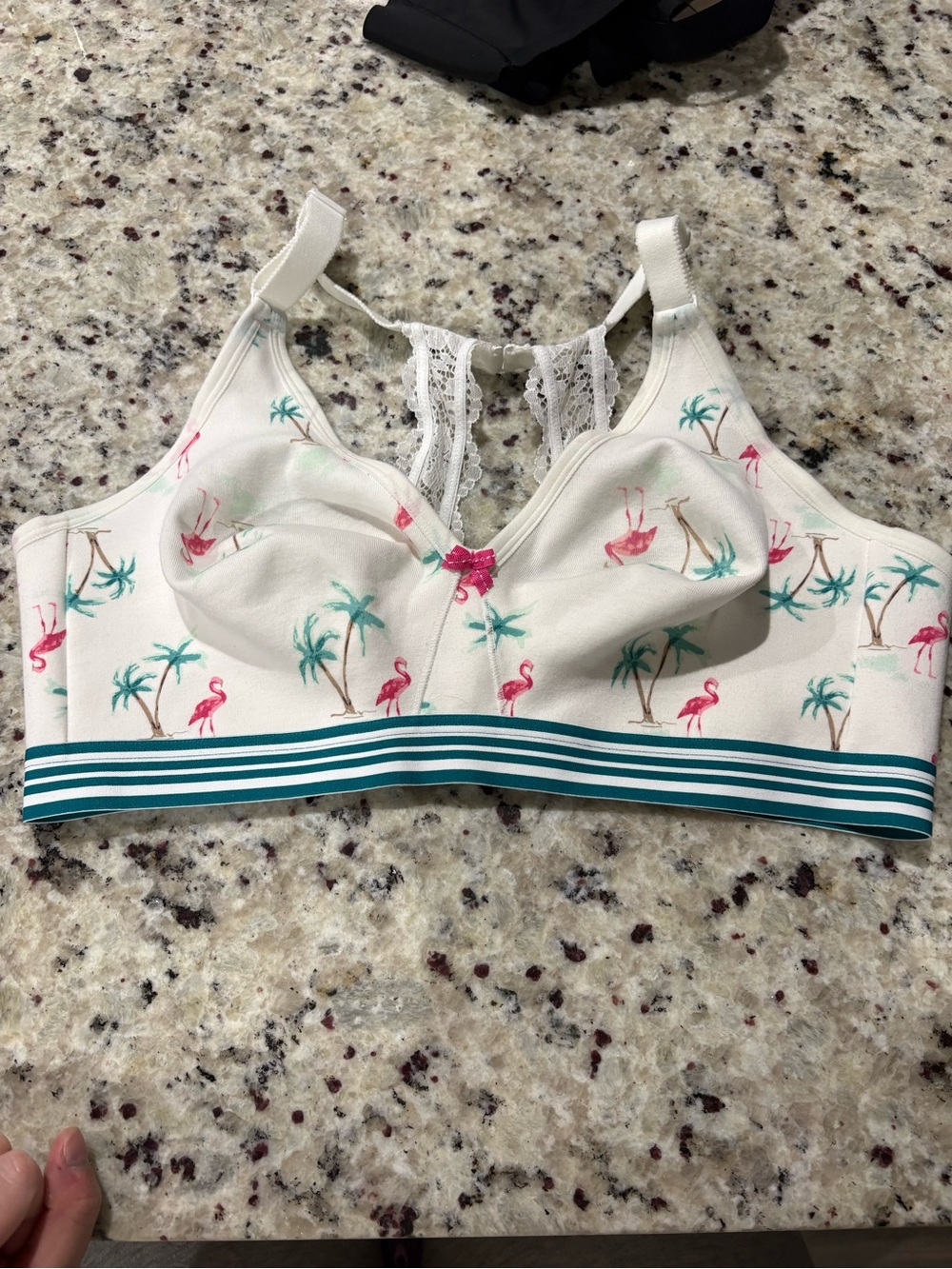 Cacique Cream Flamingo Print No Wire, Unlined Full Coverage with Teal Stripe